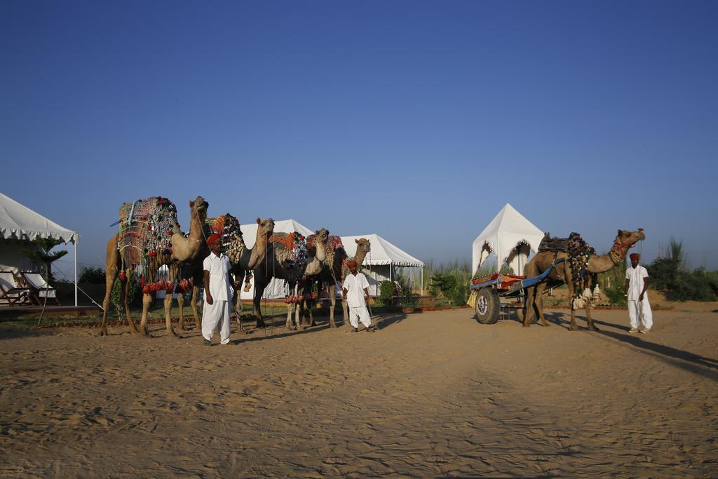 Pushkar Adventure Desert Camp المظهر الخارجي الصورة
