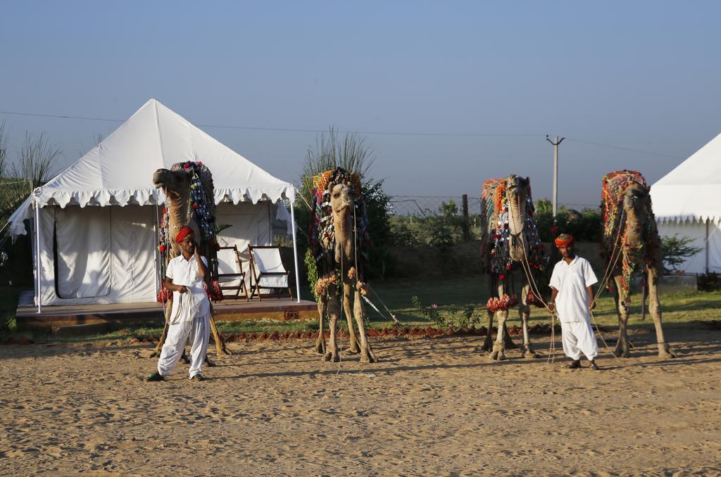 Pushkar Adventure Desert Camp المظهر الخارجي الصورة